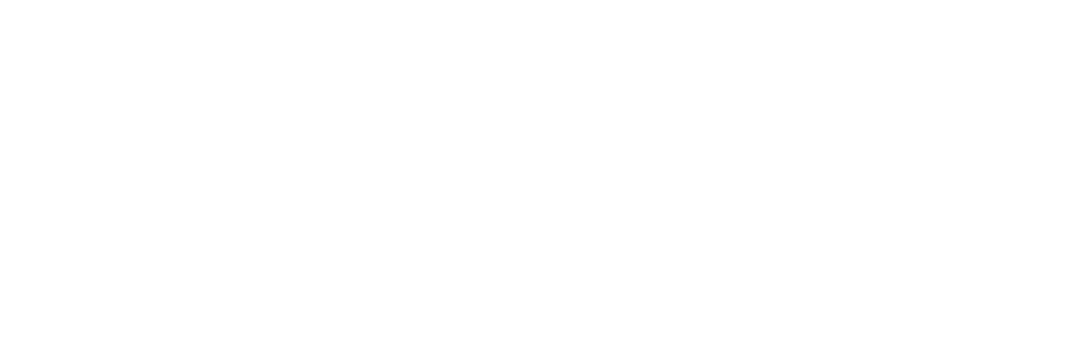 LOGO_SIVEDNG_HORIZONTAL_BLANC